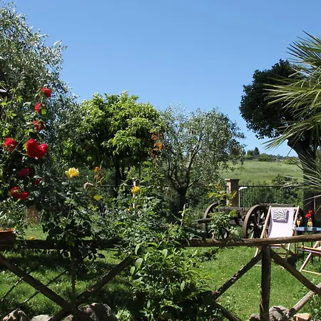 Tempio Di Apollo רומא