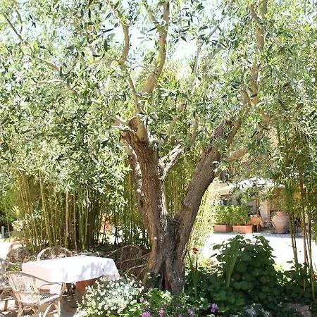 Tempio Di Apollo 2* روما