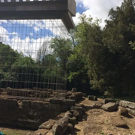 Tempio Di Apollo فندق