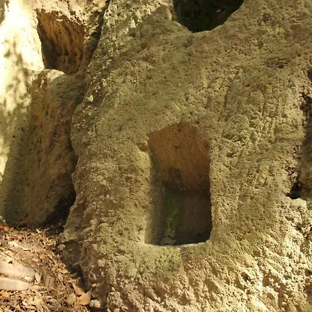 호텔 Tempio Di Apollo