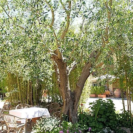Tempio Di Apollo 2*
