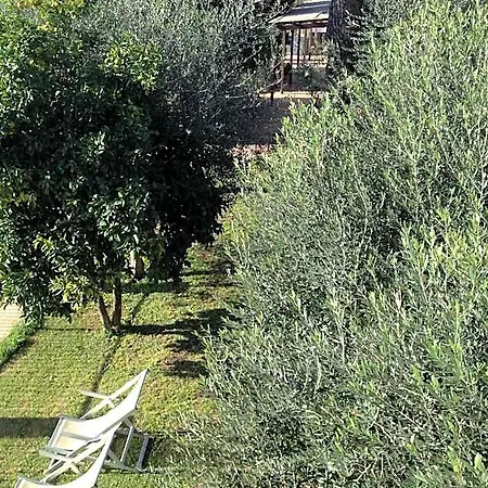 Hotel Tempio Di Apollo Roma