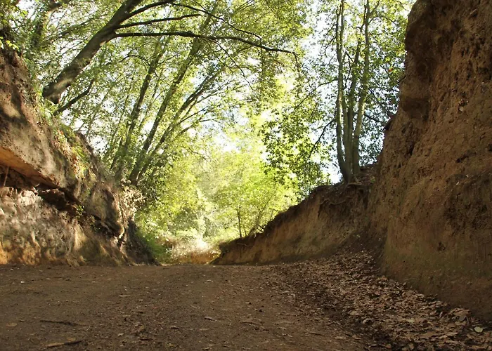 Tempio Di Apollo Hotel