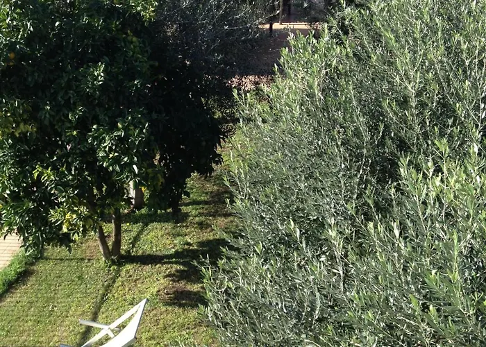 Tempio Di Apollo Hotel Rome