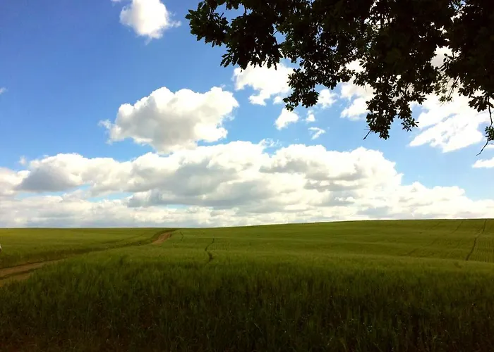 Tempio Di Apollo Hotel Roma