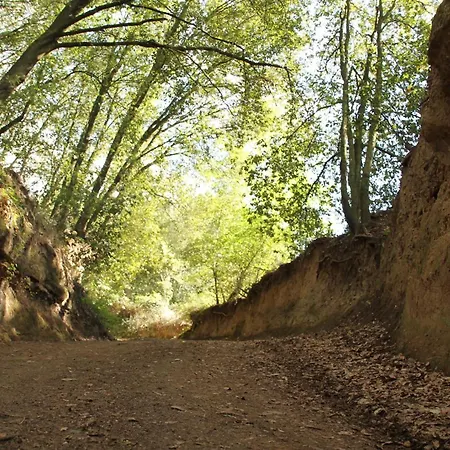 Tempio Di Apollo Ξενοδοχείο