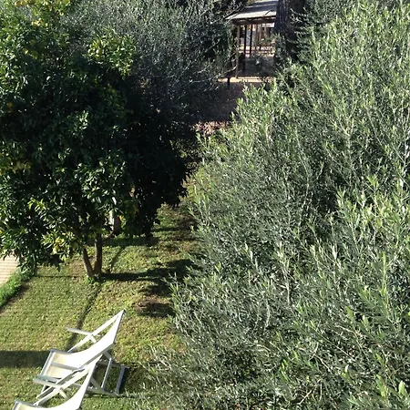 Tempio Di Apollo Hotel Roma