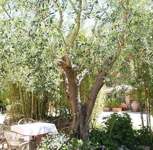 Tempio Di Apollo 2* Ρώμη