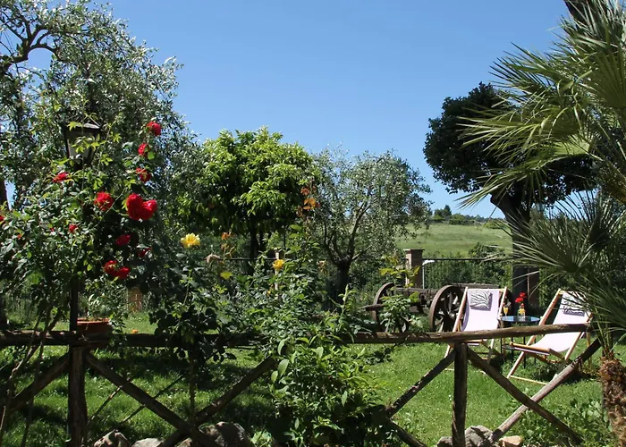 Tempio Di Apollo Rzym